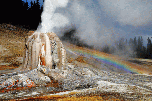 Yellowstone_Nation_1769537i