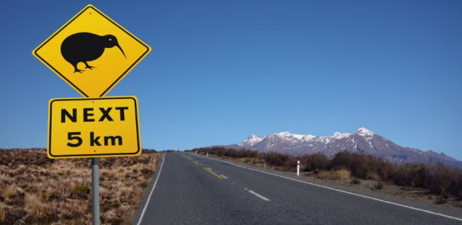 moving_to_new_zealand