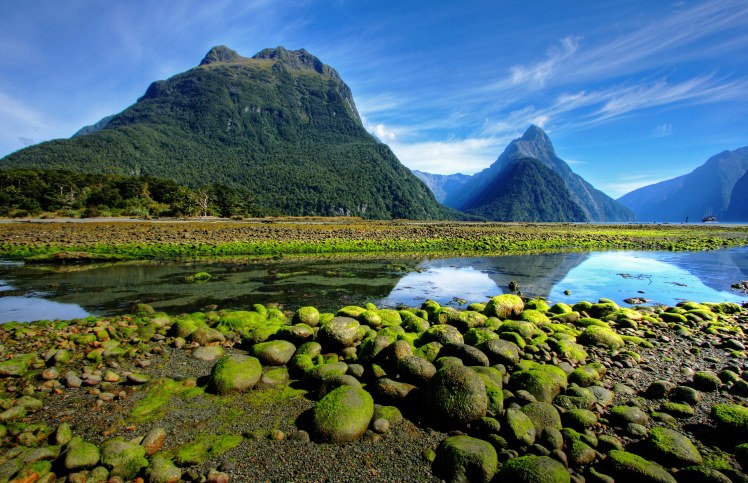 New-Zealand1